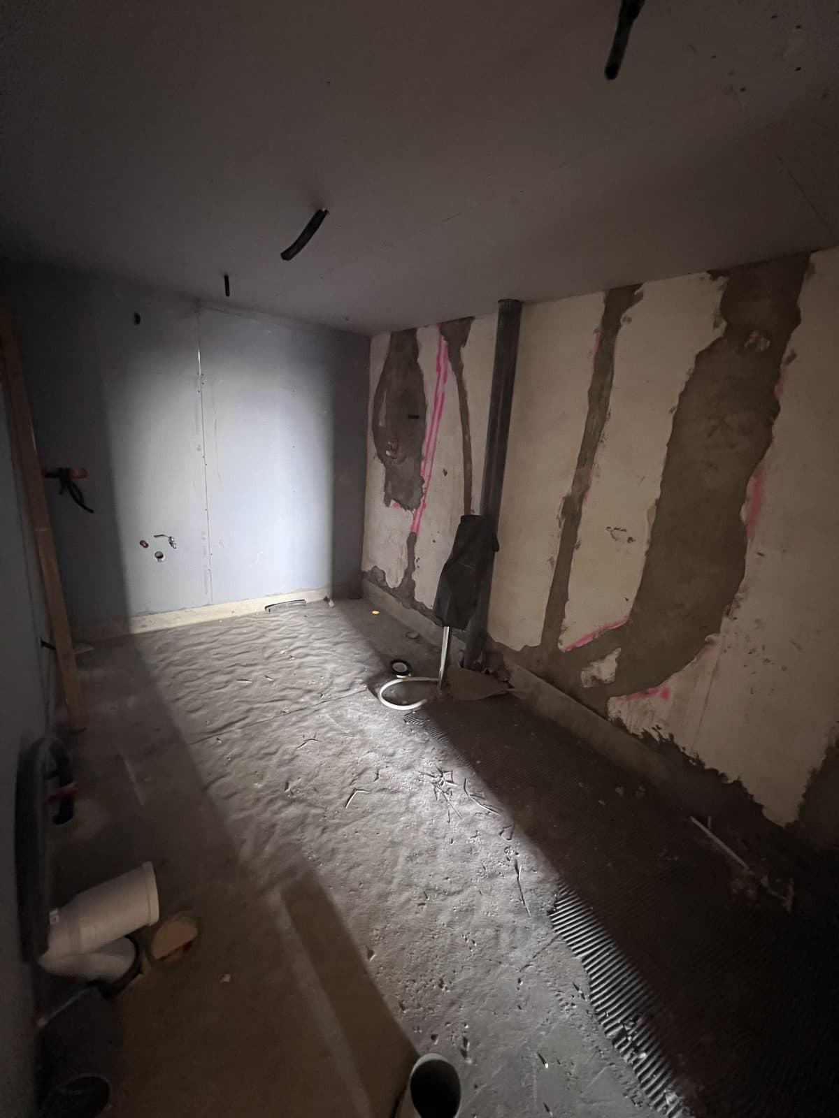 Hacia un Nuevo Hogar - Image 8
