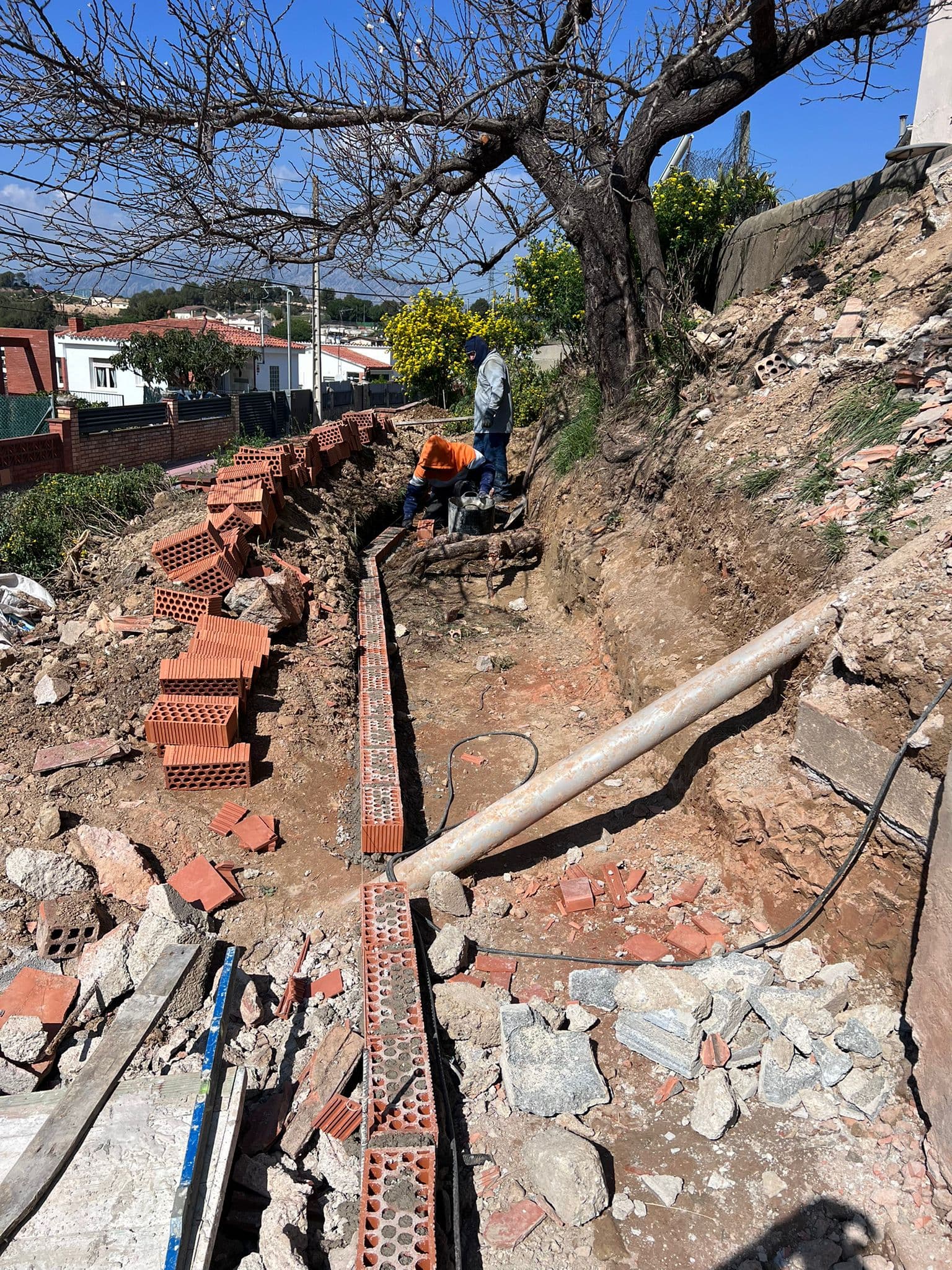 Reestructuración del Terreno - Featured Image