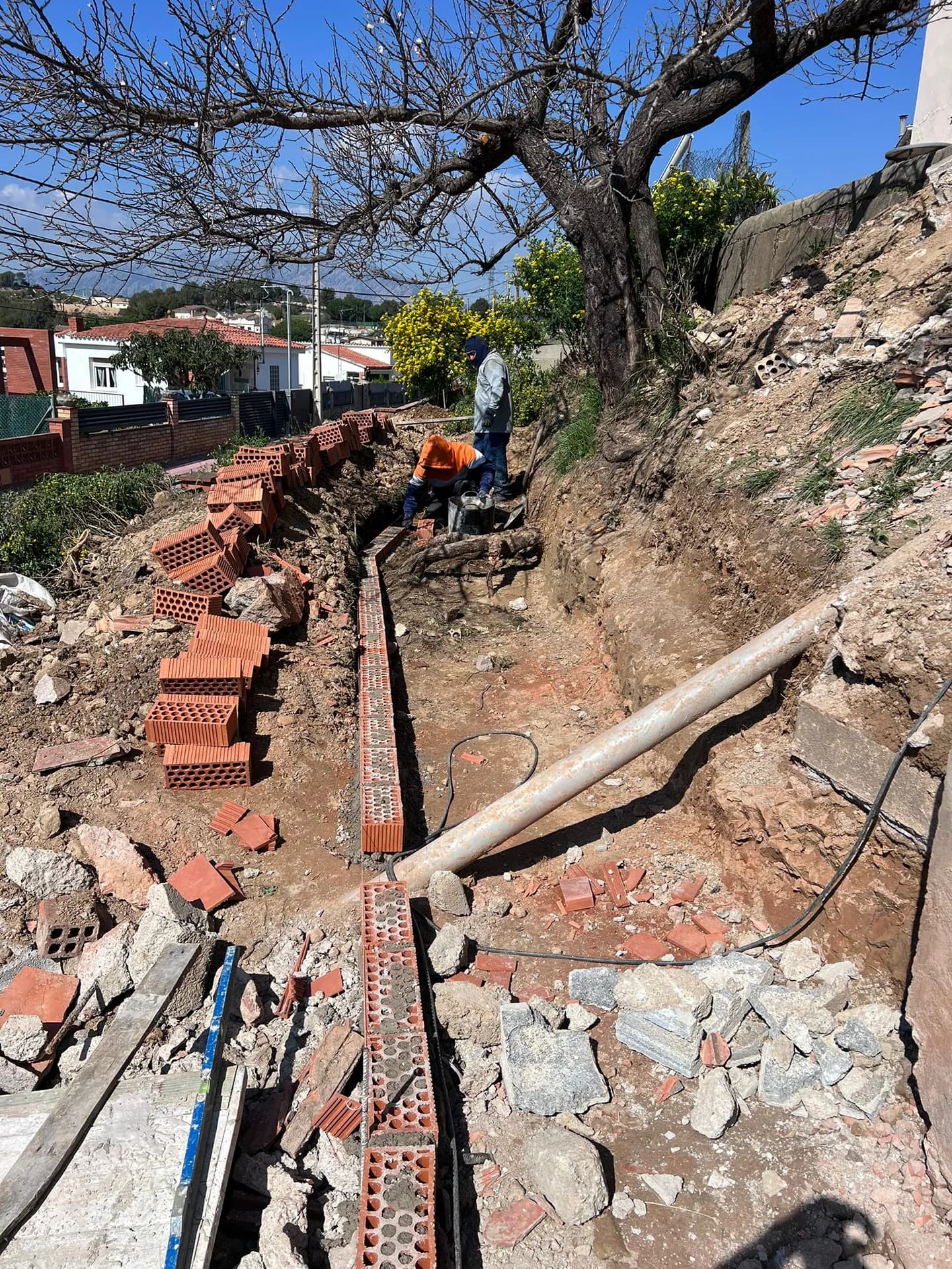 Reestructuración del Terreno - Featured Image